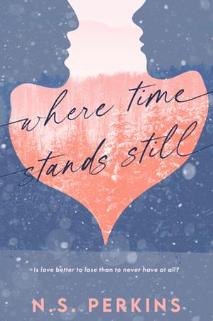 Where Time Stands Still by N.S. Perkins