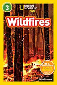 Wildfires (CD) by 