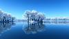 mariya__g's profile picture