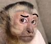 littlemonkey123's profile picture