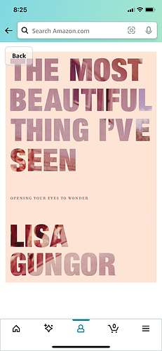 The Most Beautiful Thing I've Seen: Opening Your Eyes to Wonder by Lisa Gungor