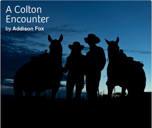 A Colton Encounter by Addison Fox
