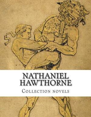 Nathaniel Hawthorne, Collection novels by Nathaniel Hawthorne