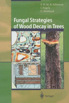 Fungal Strategies of Wood Decay in Trees by Julia Engels, Francis W. M. R. Schwarze