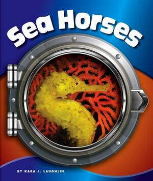 Sea Horses by Kara L. Laughlin