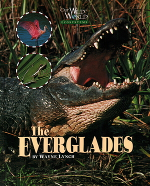 The Everglades by Wayne Lynch