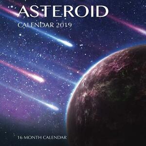 Asteroid Calendar 2019: 16 Month Calendar by Mason Landon