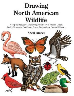 Drawing North American Wildlife: A step by step guide to drawing wildlife from Prairie, Desert, Rocky Mountain, Deciduous Forest, Wetland and Coastal by Sheri Amsel