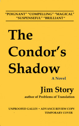 The Condor's Shadow by Jim Story