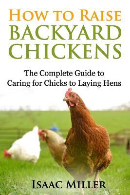 How To Raise Backyard Chickens: The Complete Guide to Caring for Chicks to Laying Hens by Isaac Miller
