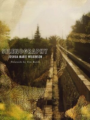 Selenography by Joshua Marie Wilkinson, Tim Rutili