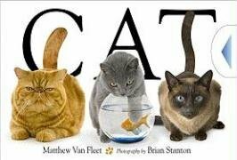 Cat by Matthew Van Fleet, Brian Stanton