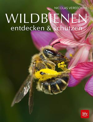 Wildbienen entdecken & schützen by Nicolas Vereecken