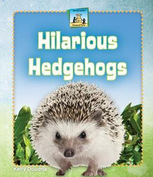 Hilarious Hedgehogs by Kelly Doudna