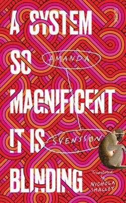 A System So Magnificent It Is Blinding by Amanda Svensson
