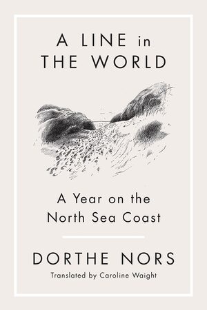 A Line in the World: A Year on the North Sea Coast by Dorthe Nors