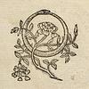 brightfurys's profile picture