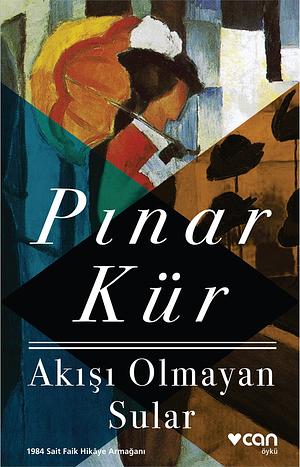 Akışı Olmayan Sular by Pınar Kür