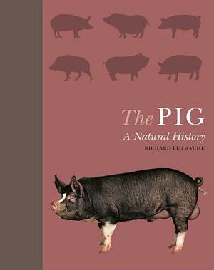 The Pig: A Natural History by Richard Lutwyche