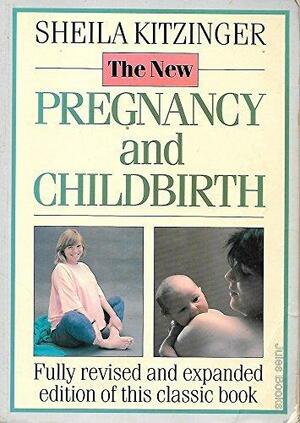 Pregnancy And Childbirth by Sheila Kitzinger