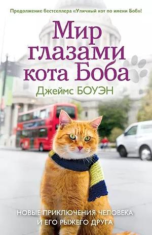 Мир глазами кота Боба. Новые приключения человека и его рыжего друга by James Bowen