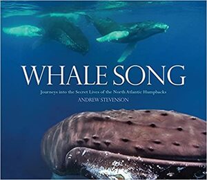 Whale Song: Journeys Into the Secret Lives of the North Atlantic Humpbacks by Andrew Stevenson