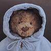 foolsichor's profile picture
