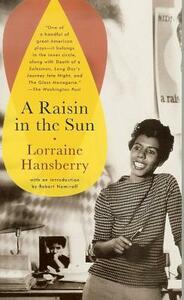 A Raisin in the Sun by Lorraine Hansberry