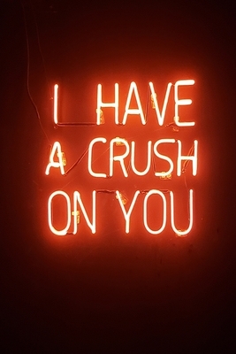 I Have A Crush On You: Academic Weekly Calendar With Goal Setting Section and Habit Tracking Pages July 2019-December 2020, 6"x9" by Paper Trail Journals