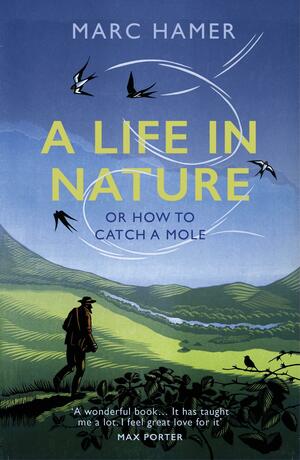 How to Catch a Mole: And Find Yourself in Nature by Marc Hamer