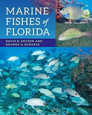 Marine Fishes of Florida by George H. Burgess, David B. Snyder