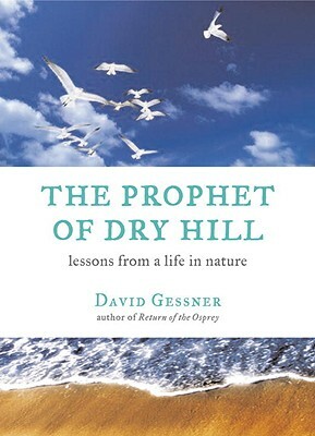 The Prophet of Dry Hill: Lessons from a Life in Nature by David Gessner
