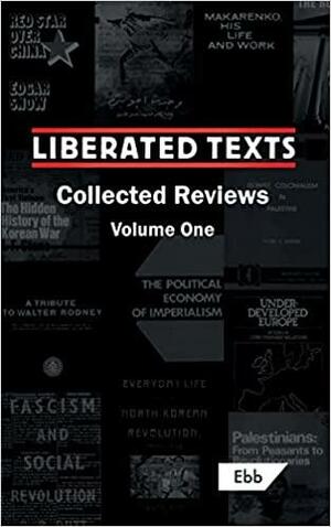 Liberated Texts, Collected Reviews: Volume One by Mahmoud Najib, Louis Allday