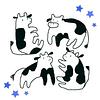 rachel_05's profile picture