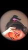 stopitcristina's profile picture