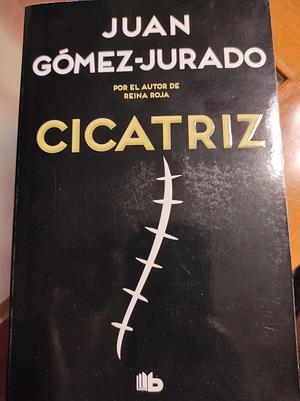 Cicatriz by Juan Gómez-Jurado