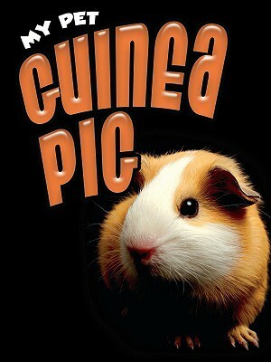 Guinea Pig by Jill Foran