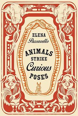 Animals Strike Curious Poses by Elena Passarello