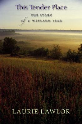 This Tender Place: The Story of a Wetland Year by Laurie Lawlor