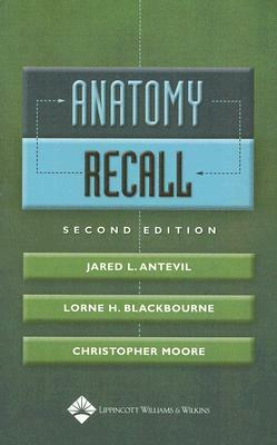 Anatomy Recall by 