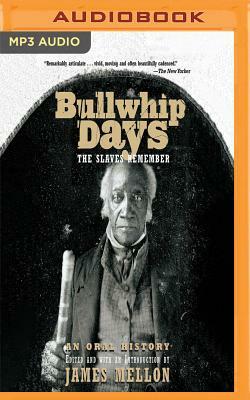 Bullwhip Days: The Slaves Remember: An Oral History by James Mellon