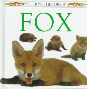 Fox by Jane Burton