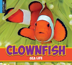 Clownfish by Heather Kissock