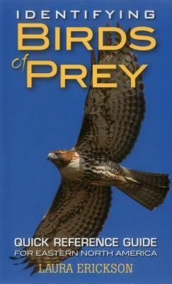 Identifying Birds of Prey: Quick Reference Guide for Eastern North America by Laura Erickson