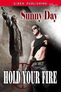 Hold Your Fire by Sunny Day