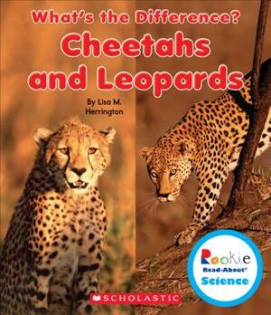 Cheetahs and Leopards by Lisa M. Herrington