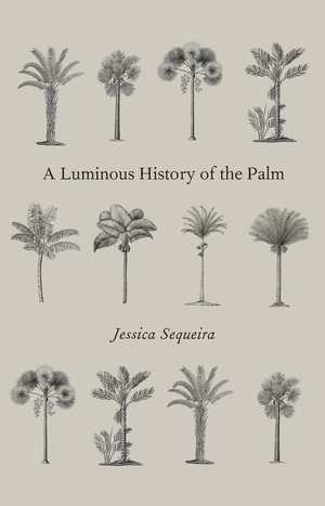 A Luminous History of the Palm by Jessica Sequeira