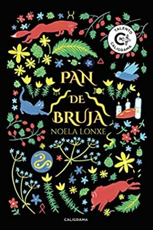 Pan de Bruja by Noela Lonxe