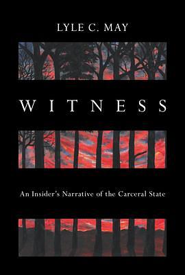 Witness: An Insider's Narrative of the Carceral State by Lyle C. May