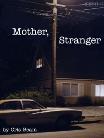 Mother, Stranger by Cris Beam